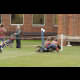 image 38 of 61